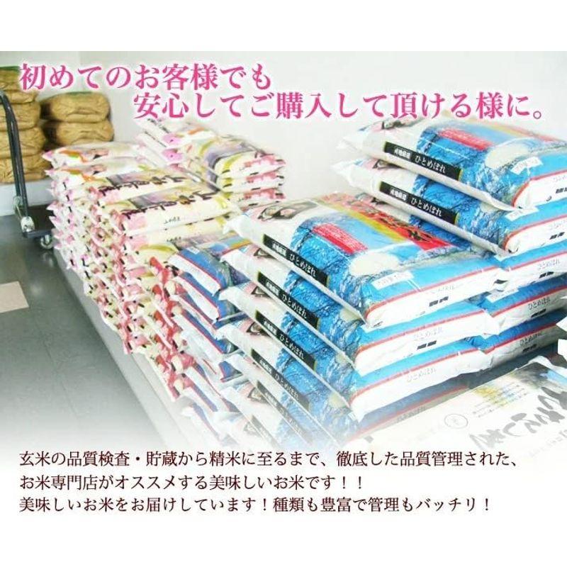 玄米 山形県産 はえぬき 30kg 令和4年産 新米