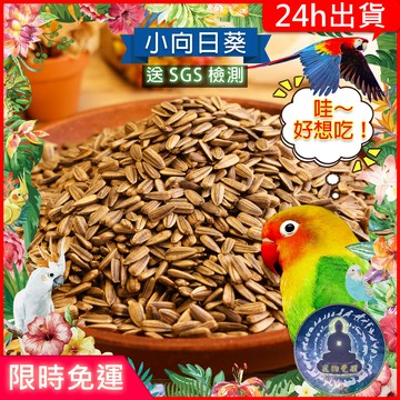 【寵物覺醒24h出貨】【SGS檢測】天然小向日葵瓜子小寵鸚鵡點心獎勵零食穀物兔子倉鼠黃金鼠三線鼠老公公鼠一線鼠蜜袋鼯鸚鵡
