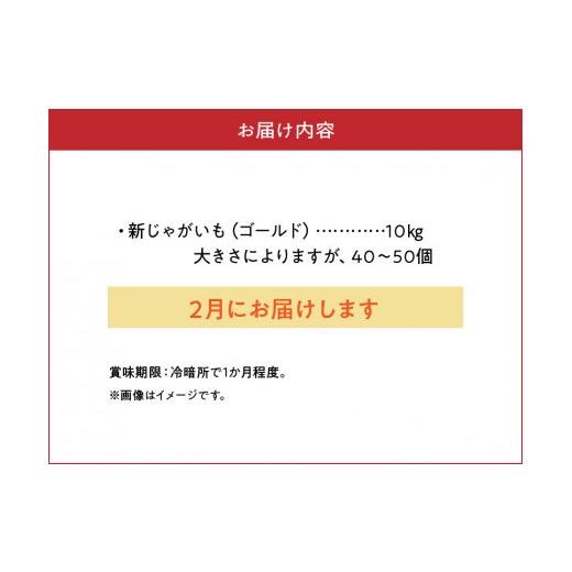 ふるさと納税 鹿児島県 知名町 新じゃがいも　ゴールド　１０キロ