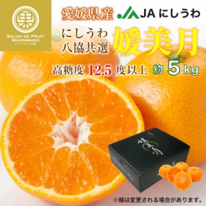 [予約 2023年 11月25日-12月15日の納品] 媛美月 約5kg 愛媛県産 JAにしうわ八協共選 JA西宇和 ひめみづき みかん 高糖度　 冬ギフト お歳