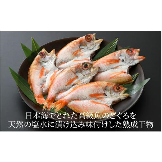 ふるさと納税 福井県 あわら市 日本海の高級魚 のどぐろ干物 5尾／ ビール 焼き魚 おつまみ 魚介類 海の幸 国産 個包装 お取り寄せ