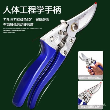 家用修枝剪刀神器花卉花枝剪刀綠化嫁接園林園藝果園剪粗枝剪省力