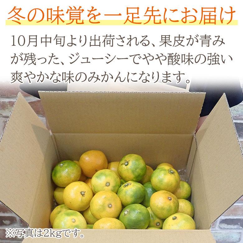 送料無料 秀品 家庭用 福岡県産 早生みかん 極早生みかん 北原みかん 福岡みかん 温州みかん 約 5kg みかん 国産 国産みかん ご家庭用