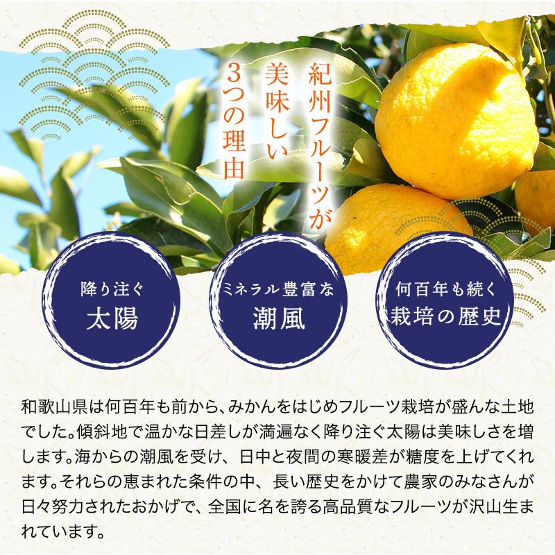 ご予約開始 和歌山県産ネーブル オレンジ ご家庭用 約3kg （約14玉） 2L〜3Lサイズの秀品 送料無料 減農薬で安心してお召し上がり頂けるネーブル (fy4)