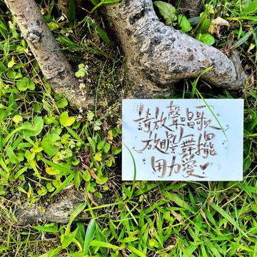 你講我寫【代筆的橋】