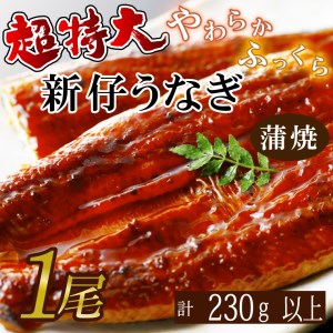 AD-96　やわらか新仔うなぎ超特大蒲焼230～250ｇ　1尾