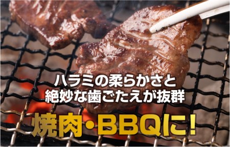 冷蔵配送 牛ハラミ タレ漬焼肉 1.5kg（500g×3）