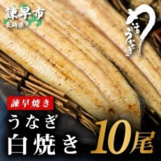  うなぎ白焼き10尾