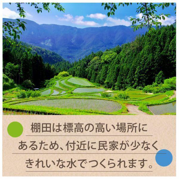 棚田米 令和5年産 熊本県こしひかり精米 10kg