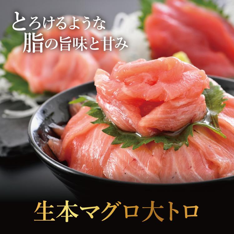 お歳暮 国産本生マグロ 大トロ 赤身 合計300g２種セット 本鮪 刺し身 未冷凍 生まぐろ 海鮮丼 贈り物 送料無料