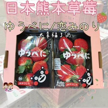 【緁迪水果JDFruit】日本熊本菊池草莓(600g+-10%/箱) 一箱兩包【大份量免運費】送禮首選-日本空運限定