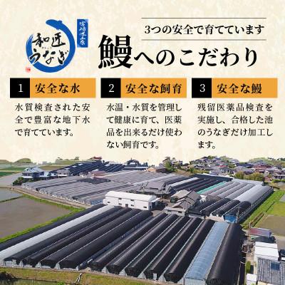 ふるさと納税 宮崎市 備長炭手焼き 和匠うなぎの蒲焼き2尾 白焼2尾　計4尾セット