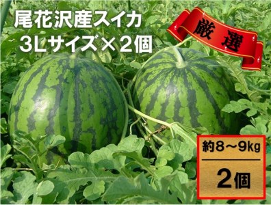 先行予約 スイカ すいか 尾花沢産スイカ 3Lサイズ 約8kg×2玉 7月下旬～8月中旬頃発送 尾花沢 スイカ すいか 令和6年産 2024年産 観光物産 kb-su3xx2