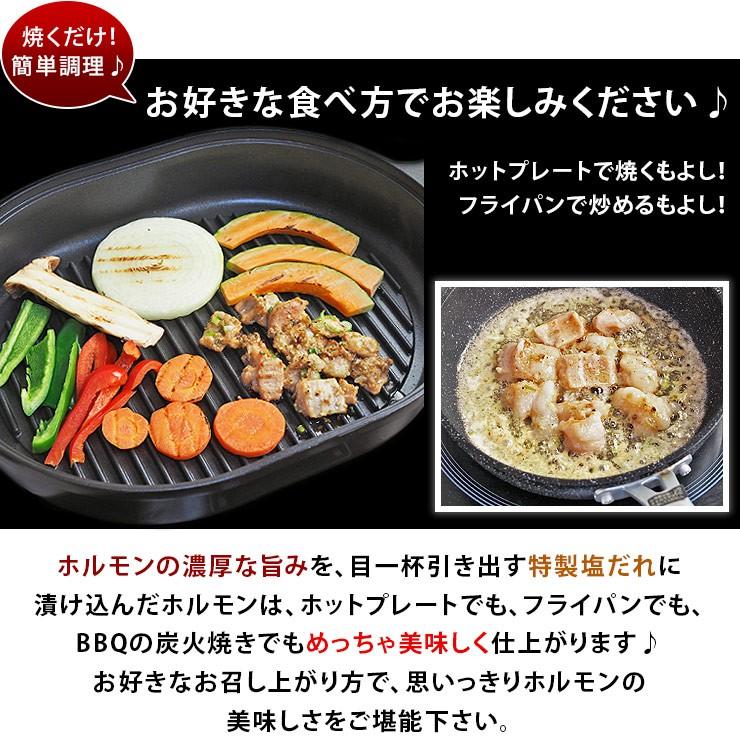 焼肉 牛シマチョウ ホルモン 塩だれ やわらか 焼き肉 200g BBQ バーベキュ 惣菜 おつまみ 家飲み グリル ギフト 肉 生 チルド