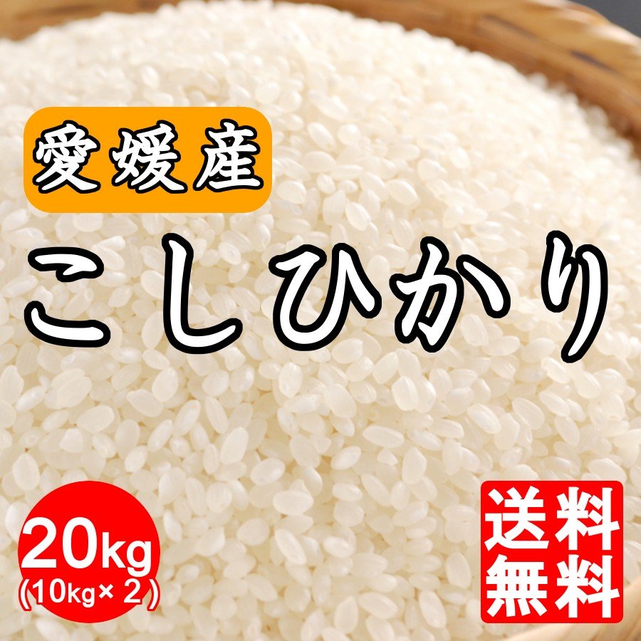 米 送料無料「 愛媛県産 コシヒカリ20kg(10kg×2) 」新米 こしひかりこしひかり 20キロ  令和5年産