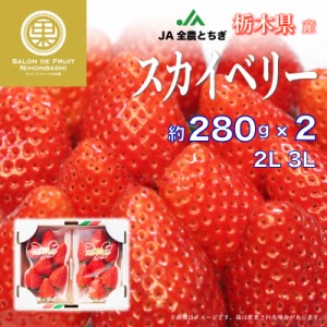 [予約 2024年1月5日-1月30日の納品] スカイベリーいちご 2L 3Lサイズ 約280g × 栃木県産