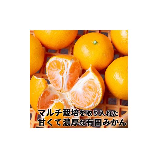 ふるさと納税 和歌山県 広川町 特選有田みかん 10kg ギフト用 赤秀 ※11月より順次発送予定 ※着日指定不可