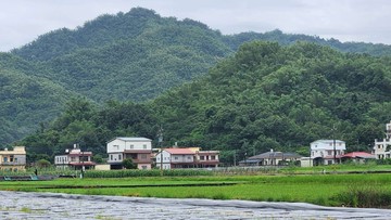專約/美濃田園悠活慢生活農地｜高雄市美濃區龍肚段一小段
