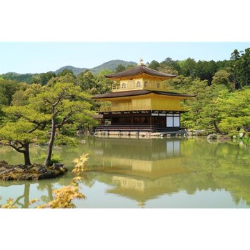 大阪旅遊｜特惠團｜京阪奈三都～環球影城超級任天堂世界.東大寺.清水寺.金閣寺.嵐山渡月橋.螃蟹美食五日｜高雄來回_26JX220CI8