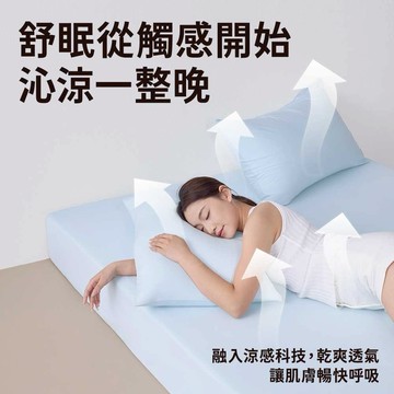 【青鳥家居】冰冰涼感伸縮床包枕套組/3色 (床包+枕套)