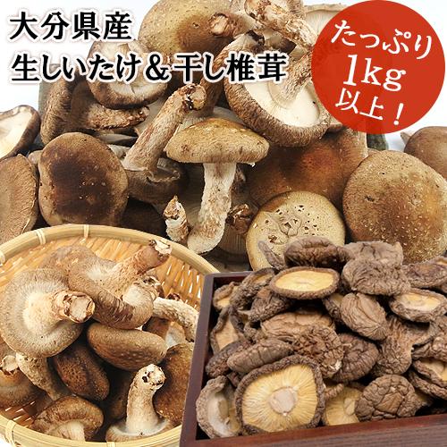 大分県産特別限定セット 生しいたけ＆特品しいたけ＆干し椎茸(かぼす胡椒付) 由布のしいたけ 送料込