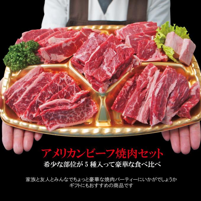 お中元 夏ギフト プレゼント送料無料 嬉しいプレゼントにも牛肉焼肉カルビ食べ比べ５点盛り合わせ　2セット同時購入で肉500ｇ増量中　サーロイン霜降り