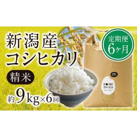 ふるさと納税 新潟産コシヒカリ精米約9kg×6回　精米したてをお届け 新潟県