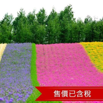 北海道旅遊｜洞爺湖花火大會.富良野花田.積丹半島.定山溪彩燈節.企鵝遊行.小樽漫遊.三大螃蟹五日｜四晚溫泉_26ITCTS008
