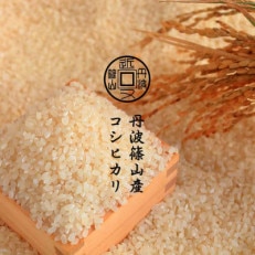 令和5年産新米丹波篠山産コシヒカリ　玄米　5kg