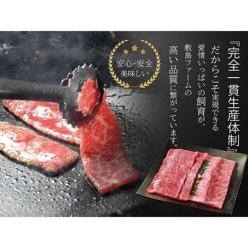 敷島ファーム 牧場直営 黒毛和牛 焼肉 2種セット 800g ロース 400g・ モモ 400g)