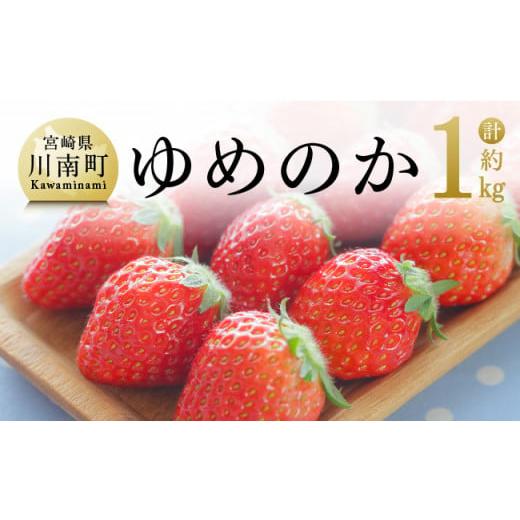 ふるさと納税 宮崎県 川南町  宮崎県産 いちご 「 ゆめのか 」 270ｇ×4パック 