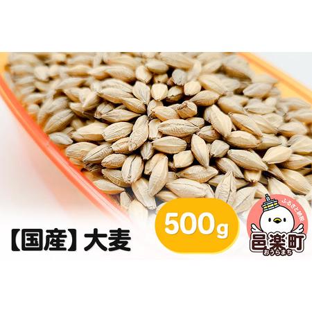 ふるさと納税 大麦 500g×1袋 サイトウ・コーポレーション 飼料 群馬県邑楽町