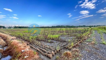 崁頂國三交流道與南榮國中特優農地｜屏東縣崁頂鄉頂仁段