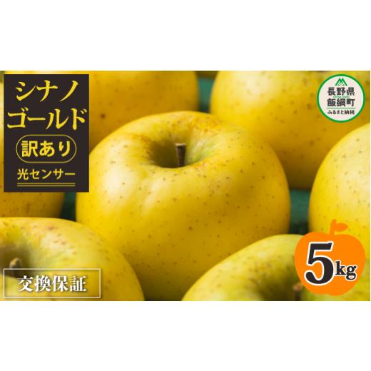 ふるさと納税 長野県 飯綱町  りんご 5kg （１２〜２５玉） シナノゴールド 果物 交換保証 訳あり 長野 「 感謝りんご 」 光センサー…