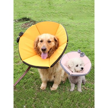 伊麗莎白圈狗狗貓咪恥辱圈大型犬防舔咬頭套項圈伊利沙白絕育圈軟