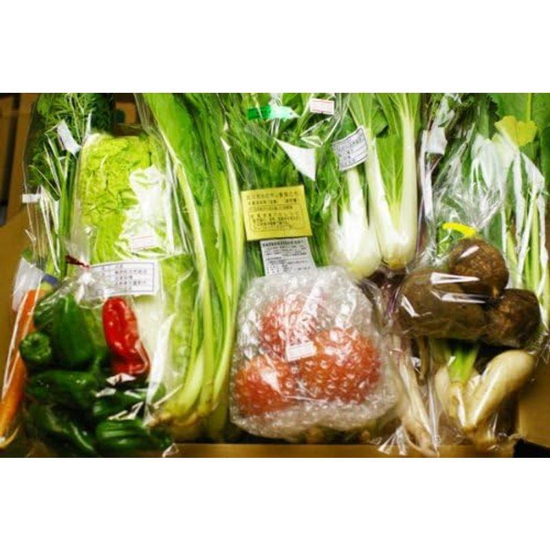 無肥料・無農薬栽培の野菜・果物（野菜の少ない時期は加工品も）のセット（3回分） (金曜日（毎週３回発送）)