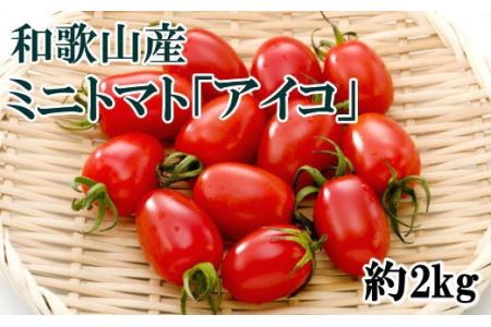 和歌山産ミニトマト「アイコトマト」約2kg（S・Mサイズおまかせ）