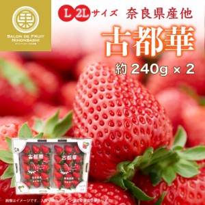 [予約 2024年2月11日-2月14日の納品] バレンタインデー 古都華 L 2L または DX 約240g×2 奈良県産ほか いちご