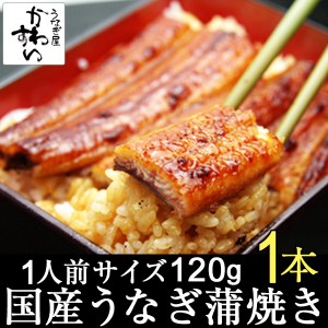 国産 うなぎ 蒲焼き 120g 1本 タレ付き 1人前にぴったりサイズ お取り寄せ グルメ 贅沢 うな丼 うな重 1人前 贈り物 ウナギ 鰻 非常食 お