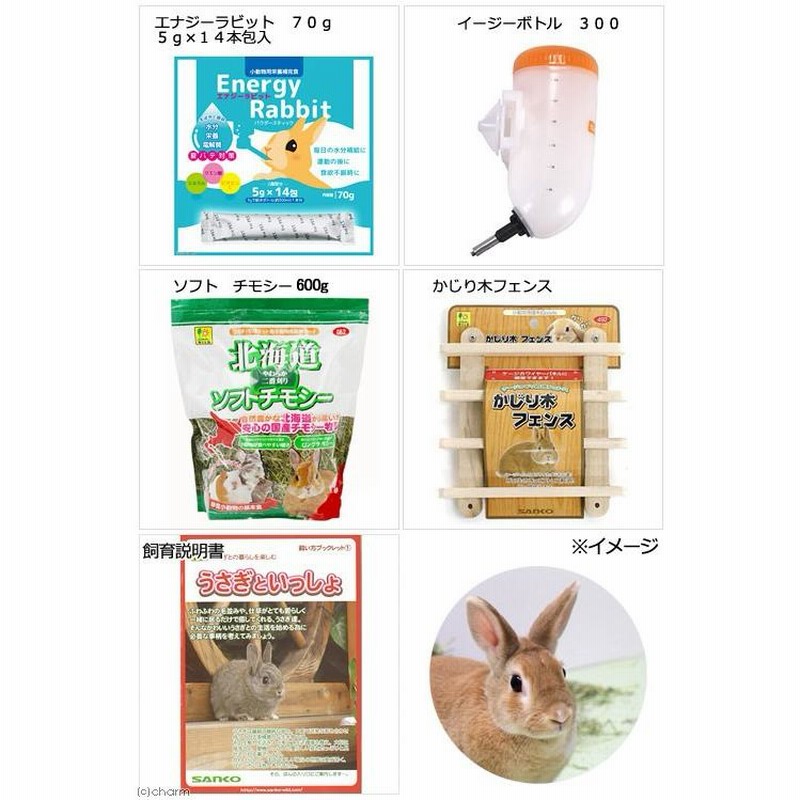うさぎの飼育セット（ゲージ）&小物備品付き✨ 29周年セール中】【無地梱包不可】広々＆簡単クリアフロントうさぎ飼育