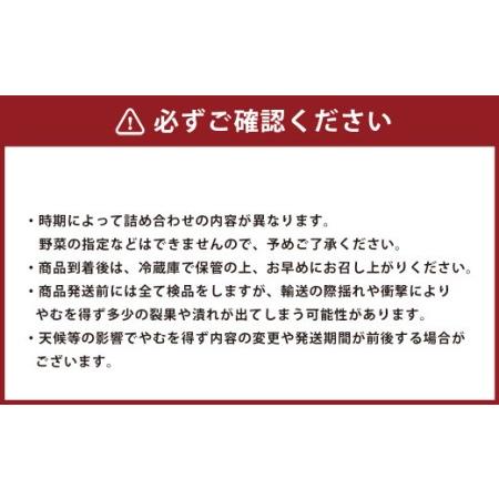 ふるさと納税 熊本県産 肥後の国 旬の野菜と果物の詰め合わせ セット 熊本県