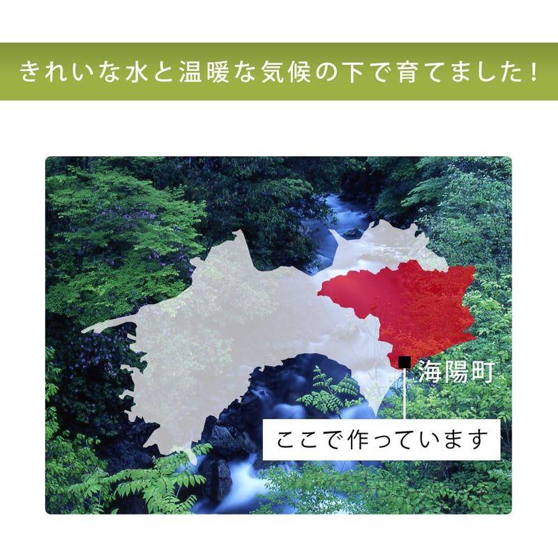 令和5年産 徳島県海陽町産 ハナエチゼン 真空パック白米 10kg