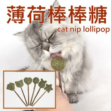 ❤️造型卡哇伊❤️貓薄荷棒棒糖 貓草 木天蓼 貓薄荷 隨機款(15g) 貓咪玩具 寵物用品 舒緩神經 造型玩具 貓草玩具