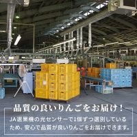 信州小諸産 シナノスイート 家庭用 約10kg 長野県産