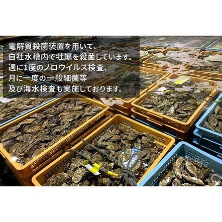 ふるさと納税 北の海のミルク！ 厚岸産 牡蠣 3Lサイズが50個！ 生食用 北海道厚岸町