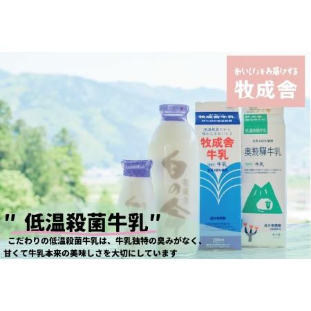 ふるさと納税 飛騨産生乳100％！美味しい低温殺菌牛乳6本 乳製品 牛乳 牧成舎 TR3746  岐阜県高山市