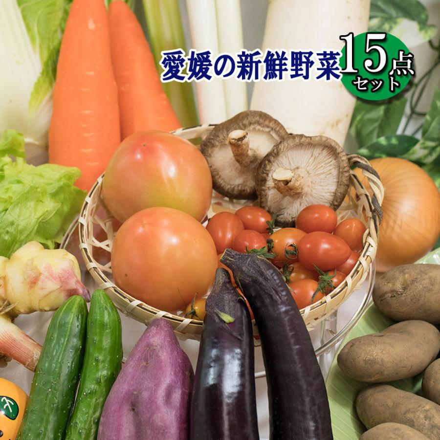 野菜詰め合わせ 野菜 詰め合わせ 15品 送料無料 冷蔵便