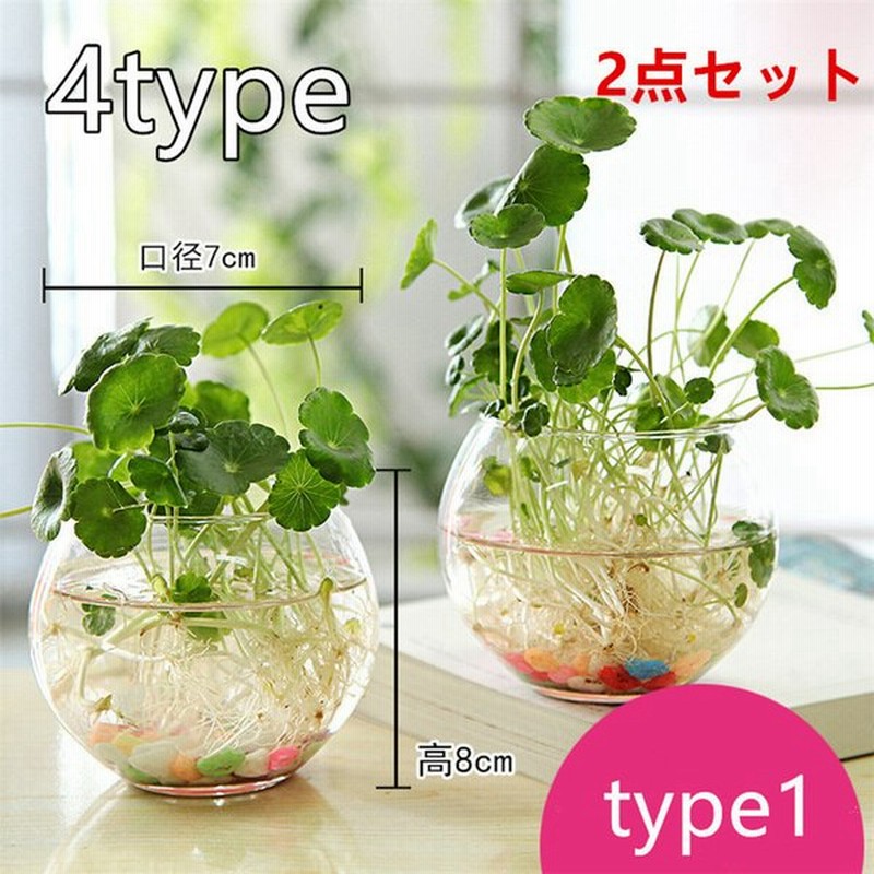 フラワーベース 2点セット 花瓶 おしゃれ ガラス 無地 クリア 工芸品 可愛い 生け花 植物 水栽培 水耕栽培 一輪挿し 多肉植物 エアプランツ 母の日 プレゼント 通販 Lineポイント最大get Lineショッピング