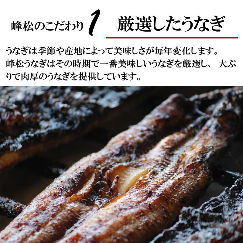 鹿島峰松うなぎ屋「うなぎの蒲焼180〜200g （1匹入り）」