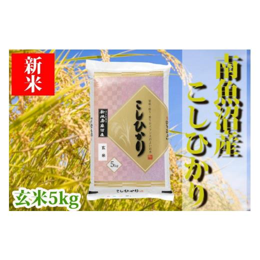 ふるさと納税 新潟県 南魚沼市 南魚沼産コシヒカリ「YUKI」(玄米5kg)×全6回